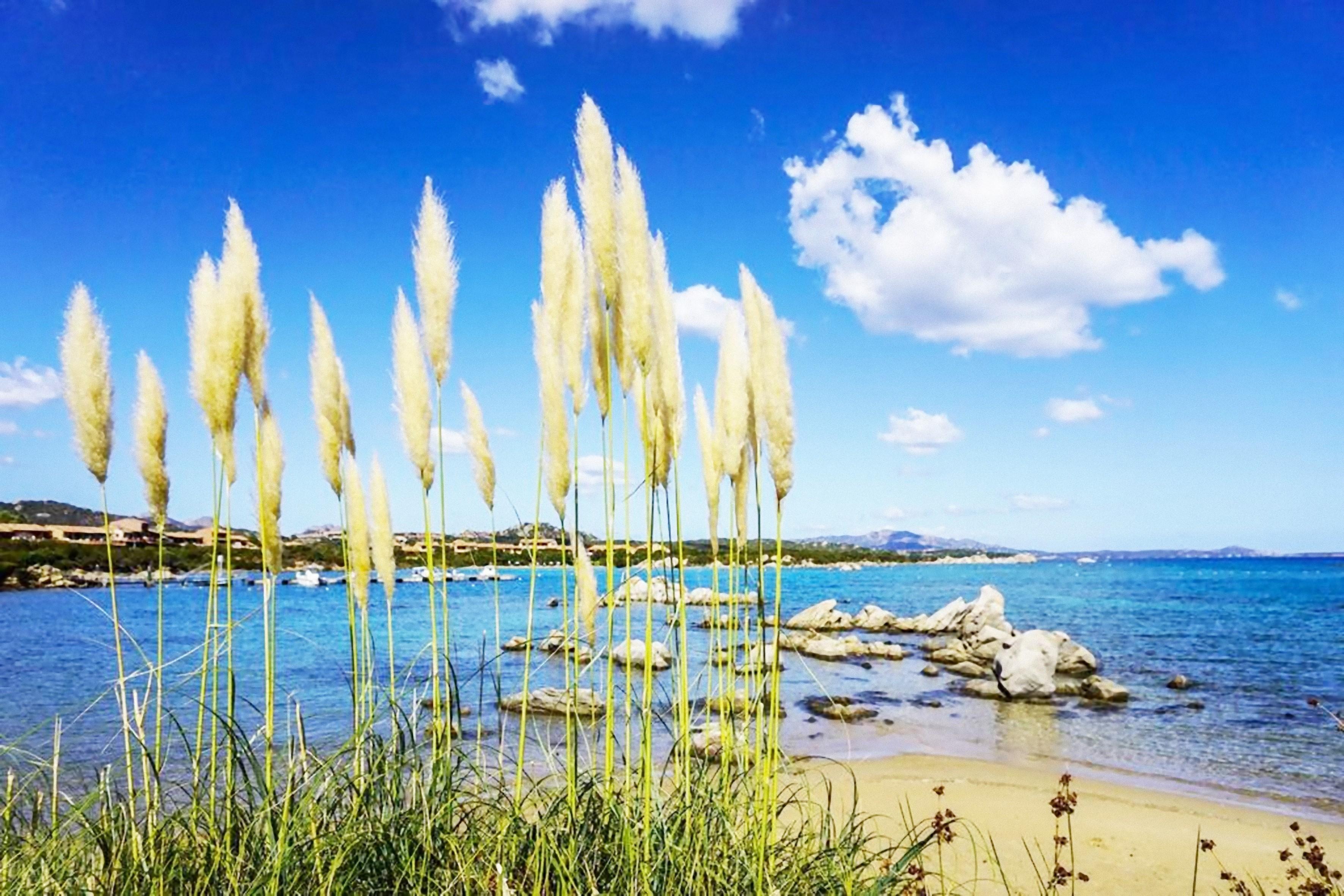 מרינלה Baia De Bahas - Apartments & Resort מראה חיצוני תמונה